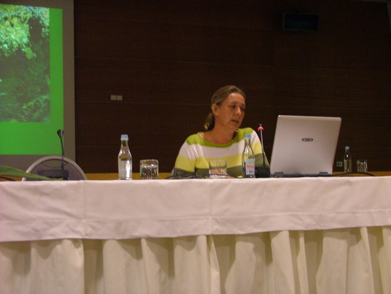 Bild: ./galleries/18_WorkshopCLI/DSCF0548.JPG