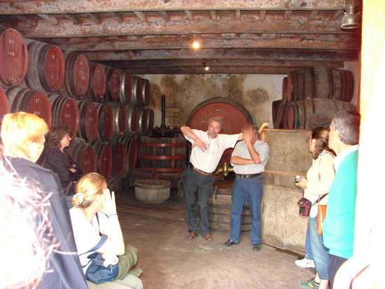 Bild: ./galleries/18_WorkshopCLI/MuseudoVinho0620_021348.JPG