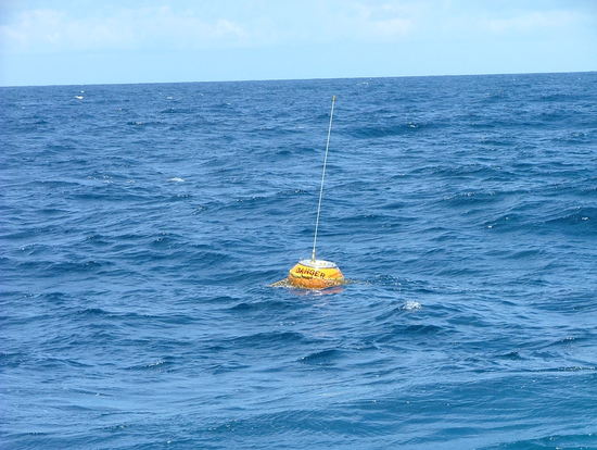 Bild: ./galleries/22_RecolhaBoia-18-07-2006/DSCF2307.JPG