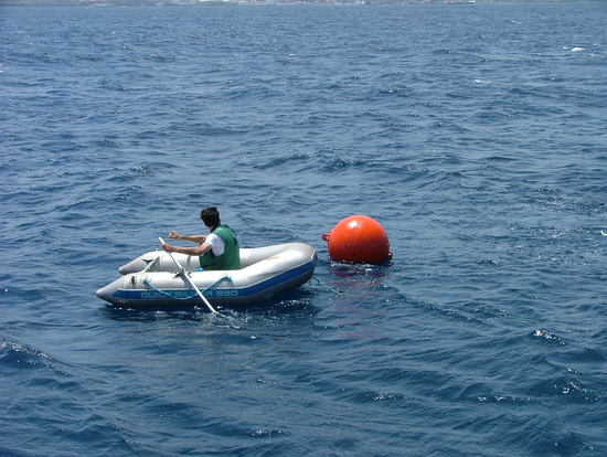 Bild: ./galleries/22_RecolhaBoia-18-07-2006/DSCF2308.JPG