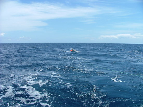 Bild: ./galleries/22_RecolhaBoia-18-07-2006/DSCF2311.JPG