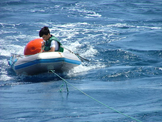 Bild: ./galleries/22_RecolhaBoia-18-07-2006/DSCF2313.JPG