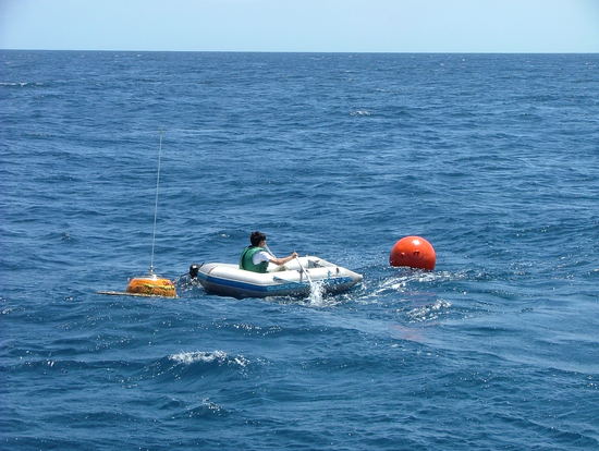 Bild: ./galleries/22_RecolhaBoia-18-07-2006/DSCF2316.JPG