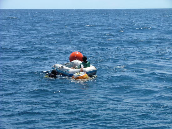 Bild: ./galleries/22_RecolhaBoia-18-07-2006/DSCF2317.JPG