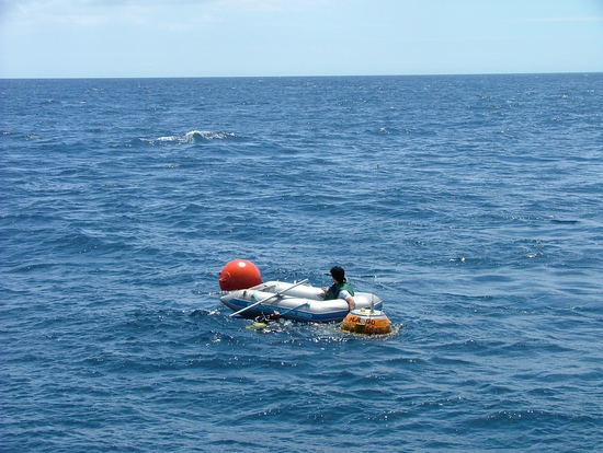 Bild: ./galleries/22_RecolhaBoia-18-07-2006/DSCF2318.JPG