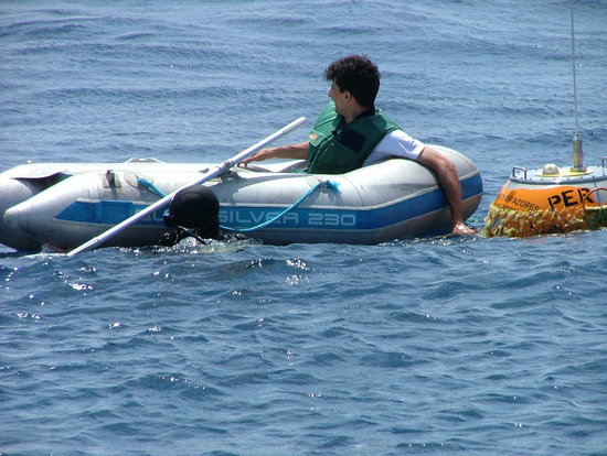 Bild: ./galleries/22_RecolhaBoia-18-07-2006/DSCF2319.JPG